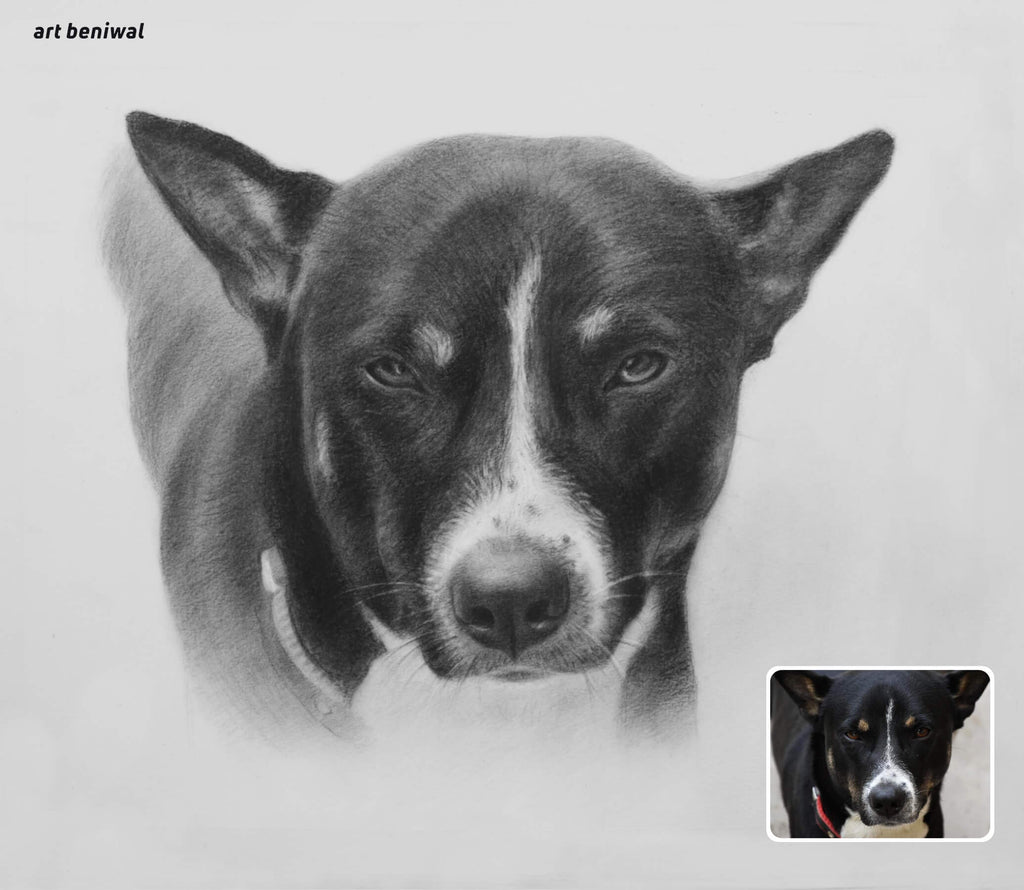Black and white dog pencil portrait with inset of the same dog in color.