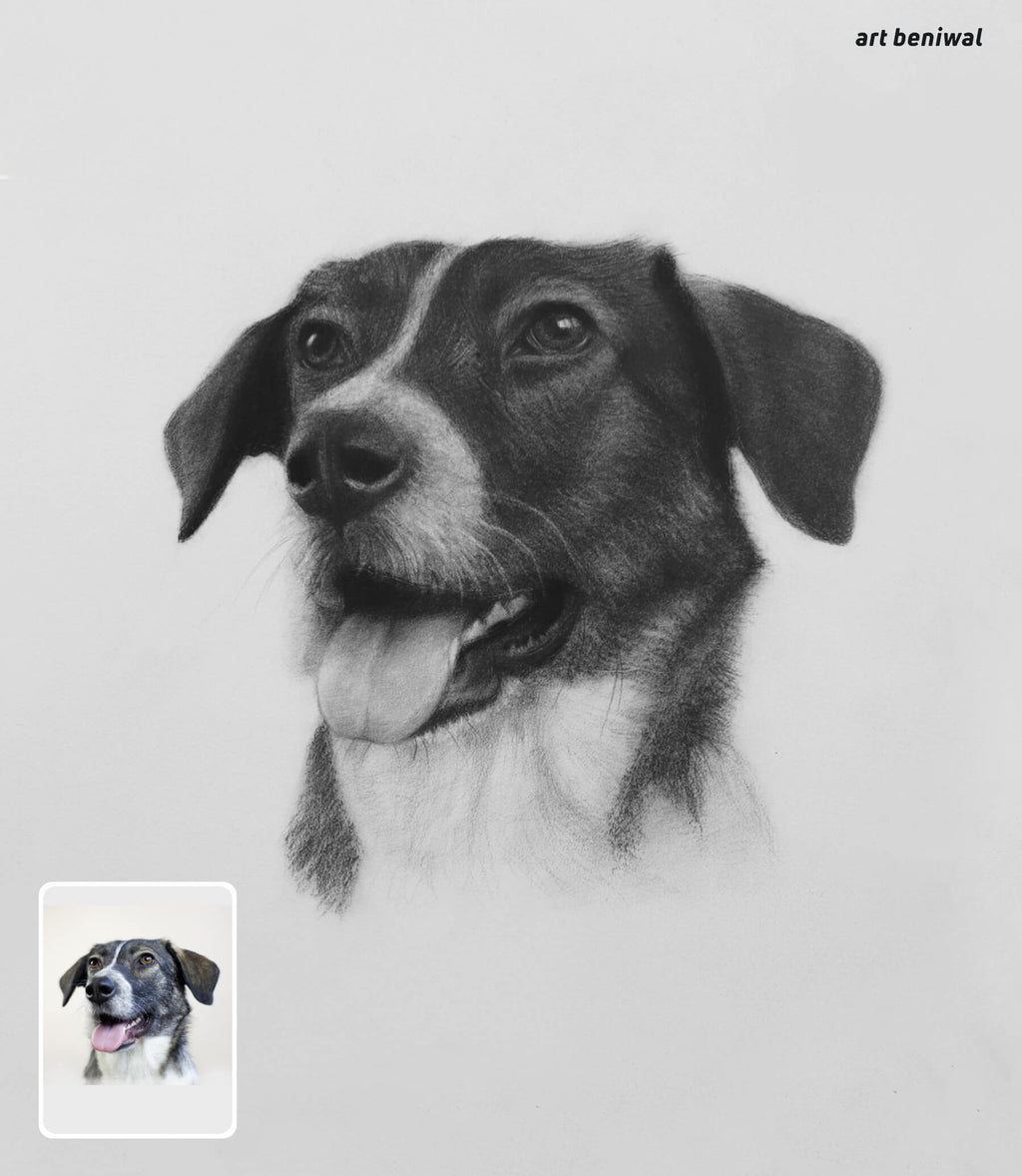 Black and white dog pencil portrait with a smaller inset image of the same dog on a light gray background.