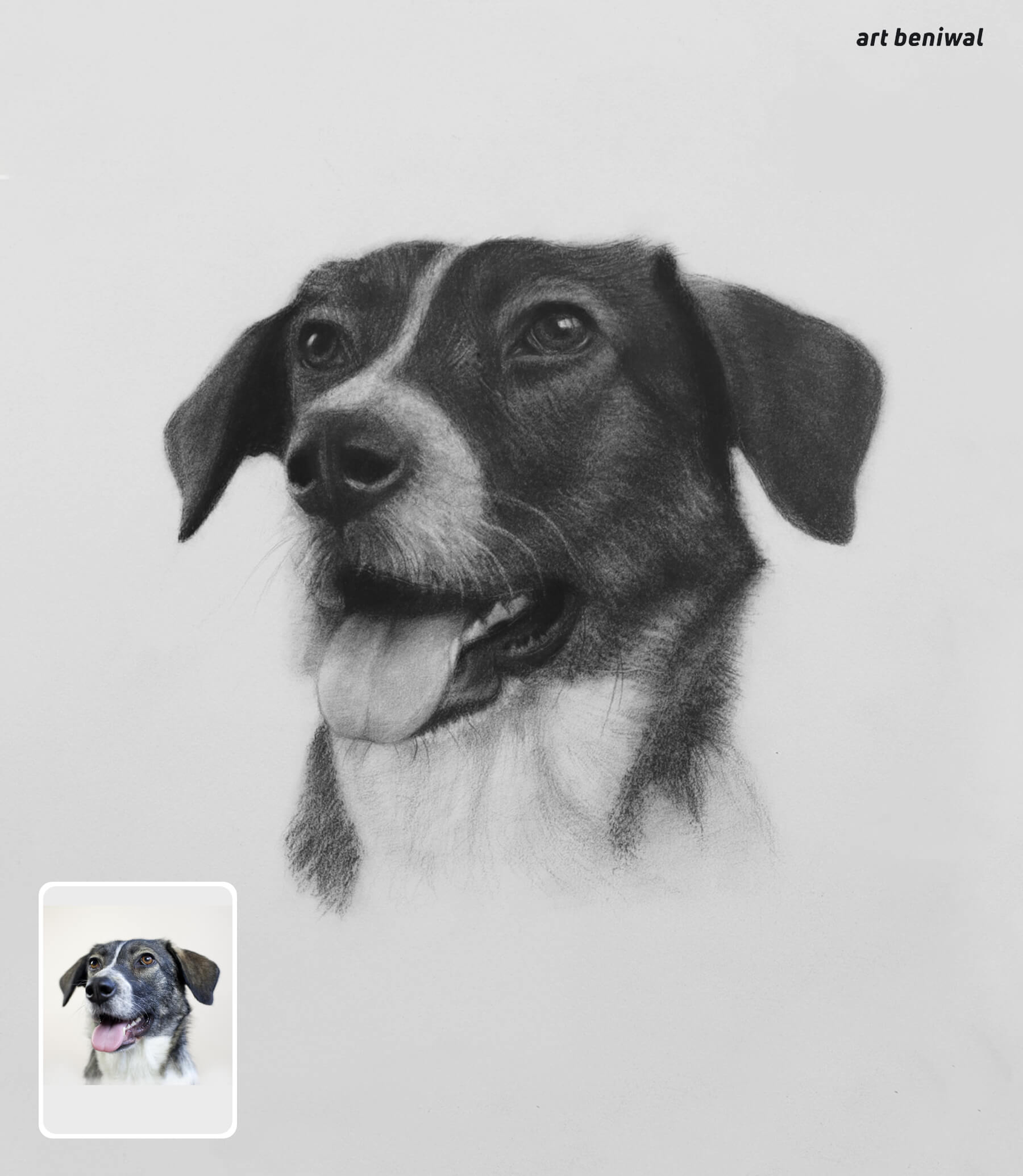 Black and white dog pencil portrait with a smaller inset image of the same dog on a light gray background.