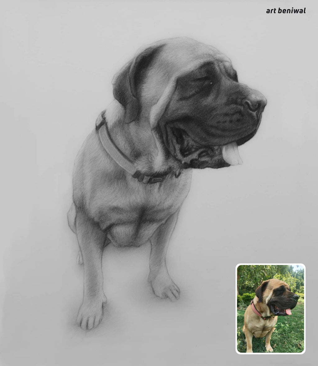 Pencil drawing of a dog looking right side with light grey background also with a small inset photo of the same dog outdoors.