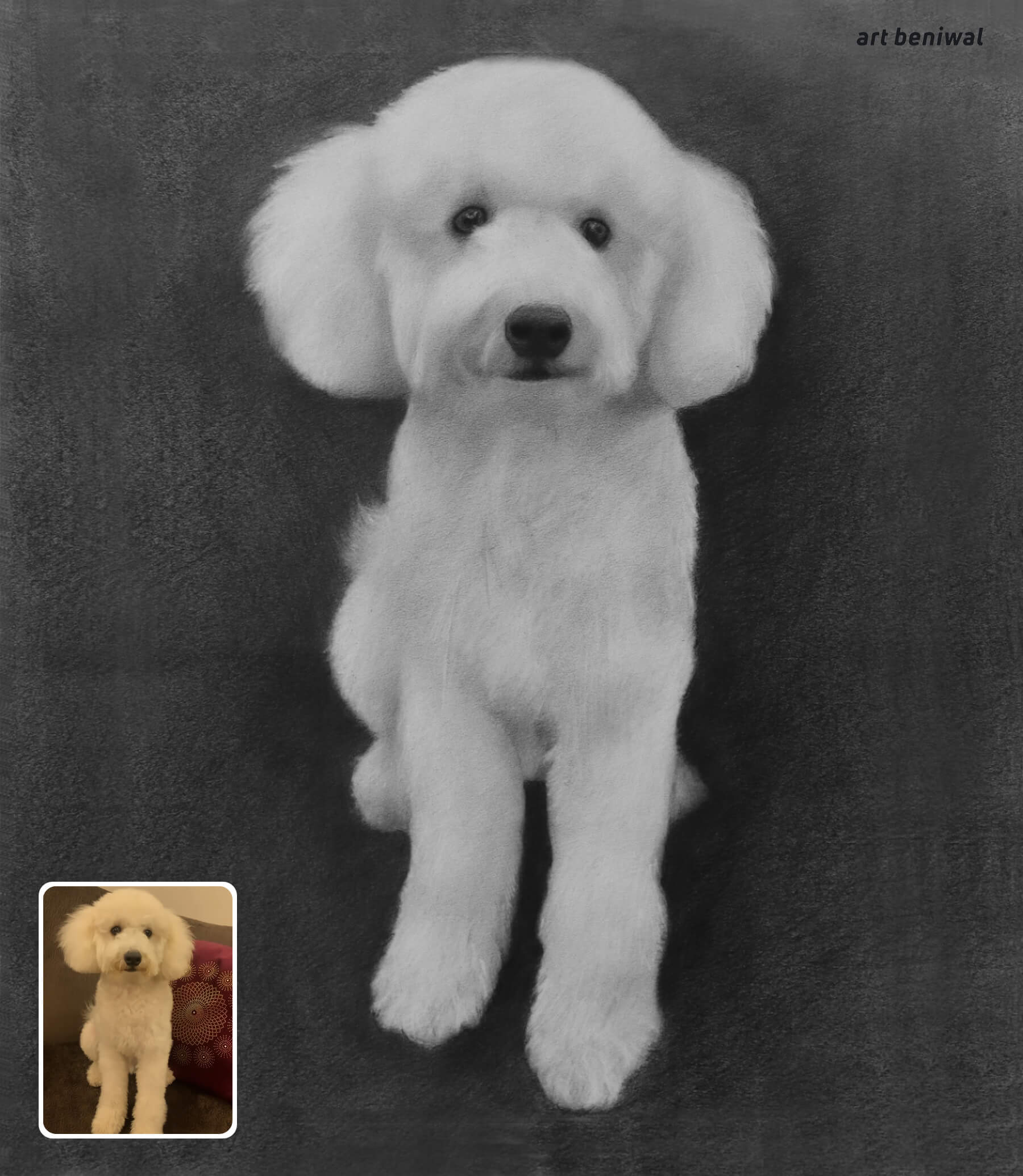 charcoal drawing of a white dog with dark background and a smaller inset image of the same dog at bottom left 