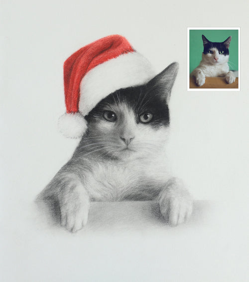 Cat Pencil Portrait