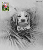 Custom Dog Pencil Portrait