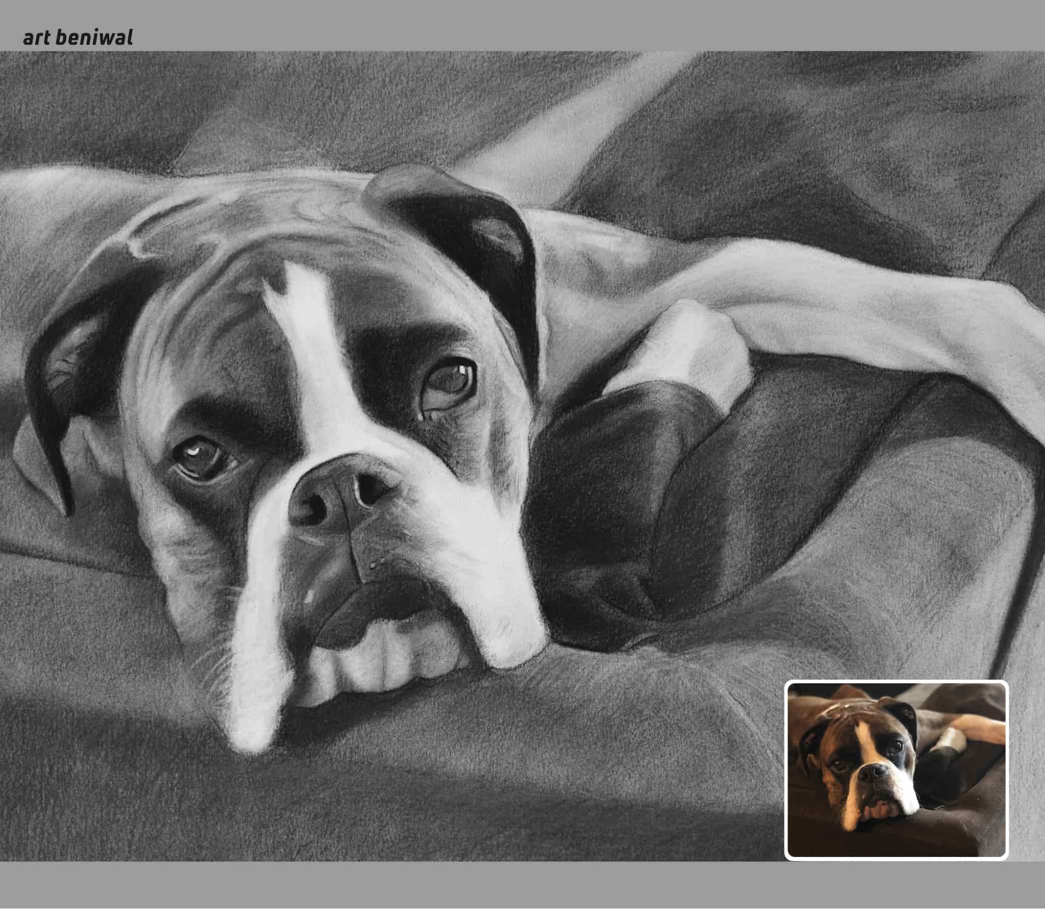 Detailed pencil drawing of a dog lying on a textured surface with a smaller inset showing the same dog.