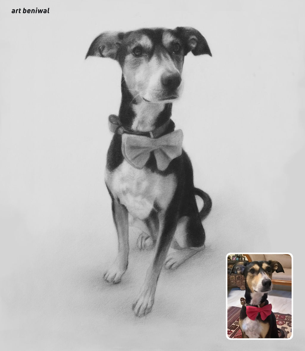 Pencil drawing of a dog wearing a bow tie sit on a light grey background, with a smaller inset photo of the same dog.