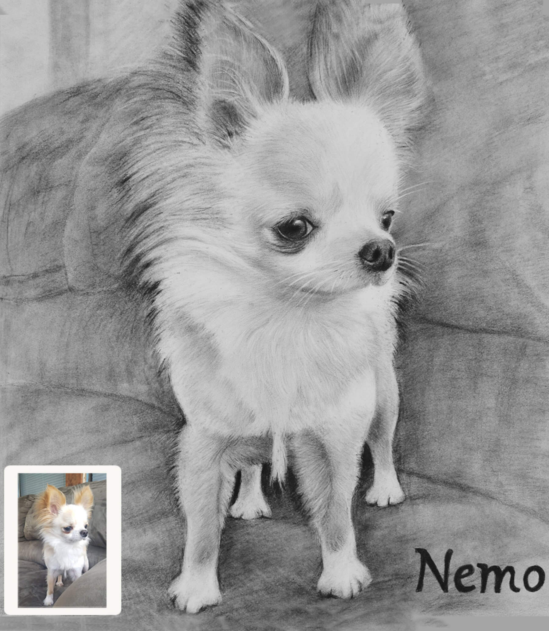Detailed pencil drawing of a small dog on a textured surface sofa with 'Nemo' written below.