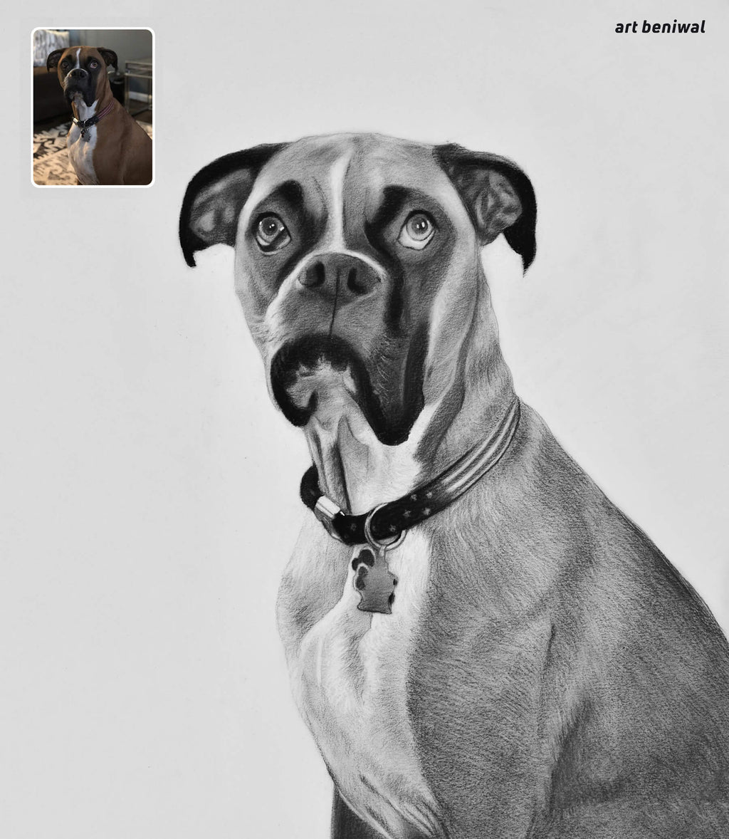 Detailed black and white drawing of a dog with a smaller inset photo in the corner.