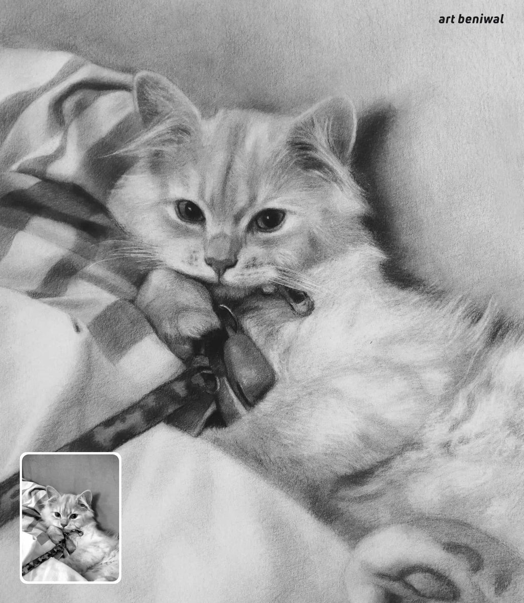 Detailed pencil drawing of a cat lying on black and white pattern bed sheet with holding a small object, and left bottom insert its original but black and white reference photo 