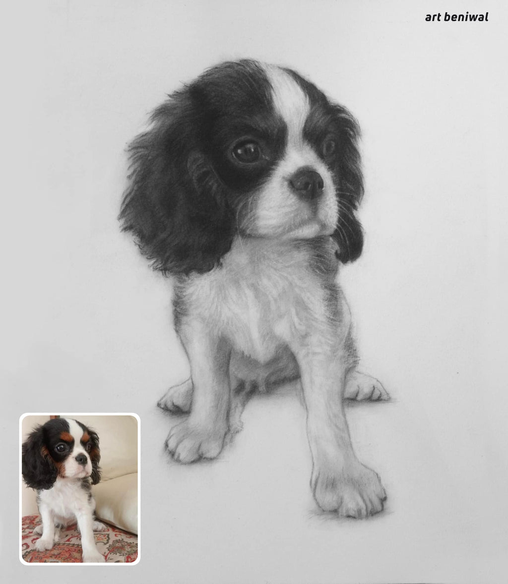 Detailed pencil sketch portrait of a white colour puppy with darkbrown eyars and eyes part sitting on a light gray background, with a smaller inset photo of the actual puppy.