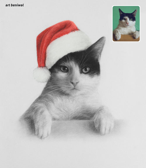 black and white pencil sketch of Cat wearing red colour Santa hat with a small inset of the cat on a green background