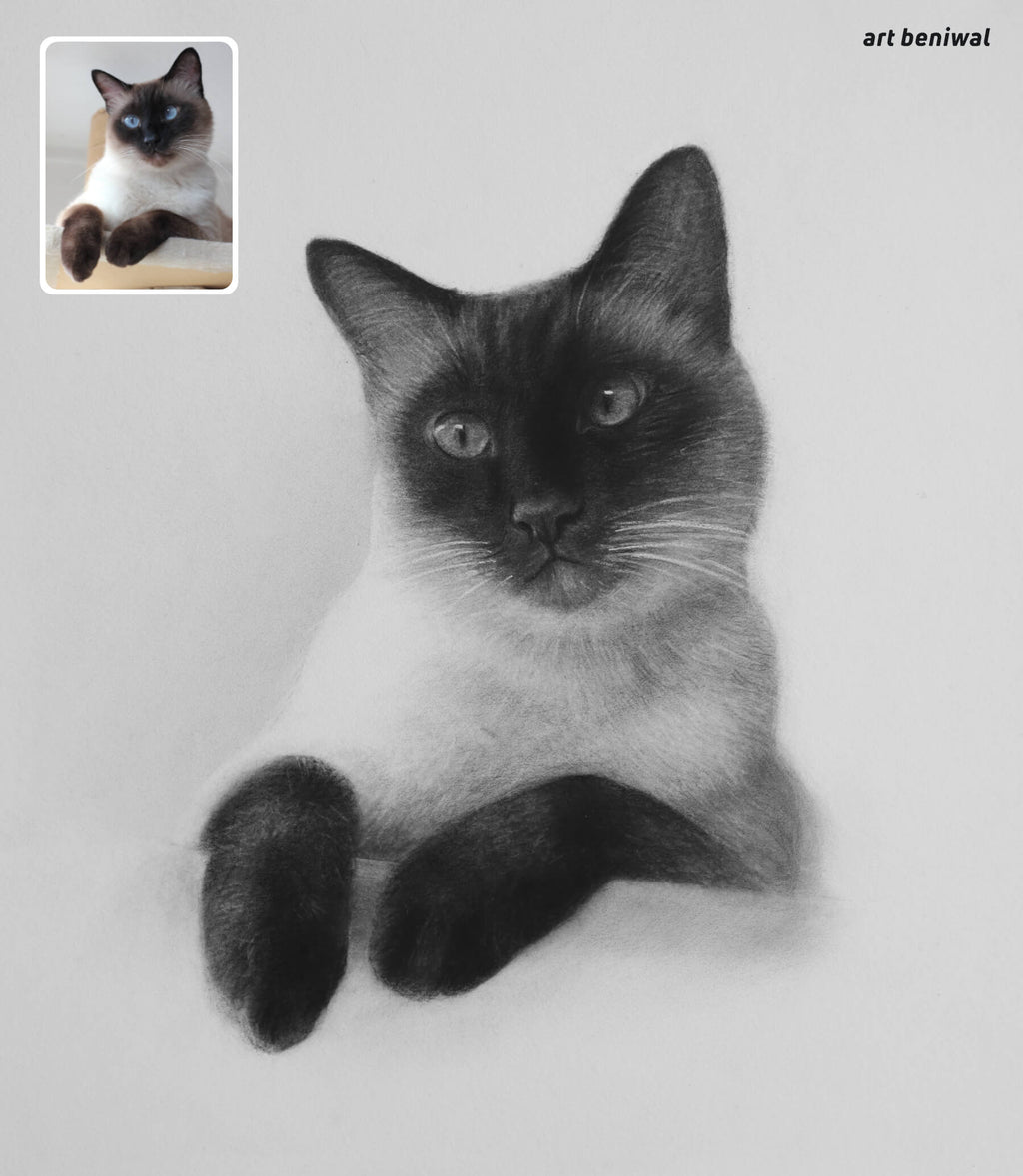 Realistic charcoal drawing of a Siamese cat on a light gray background, with a smaller inset image in the top left corner.