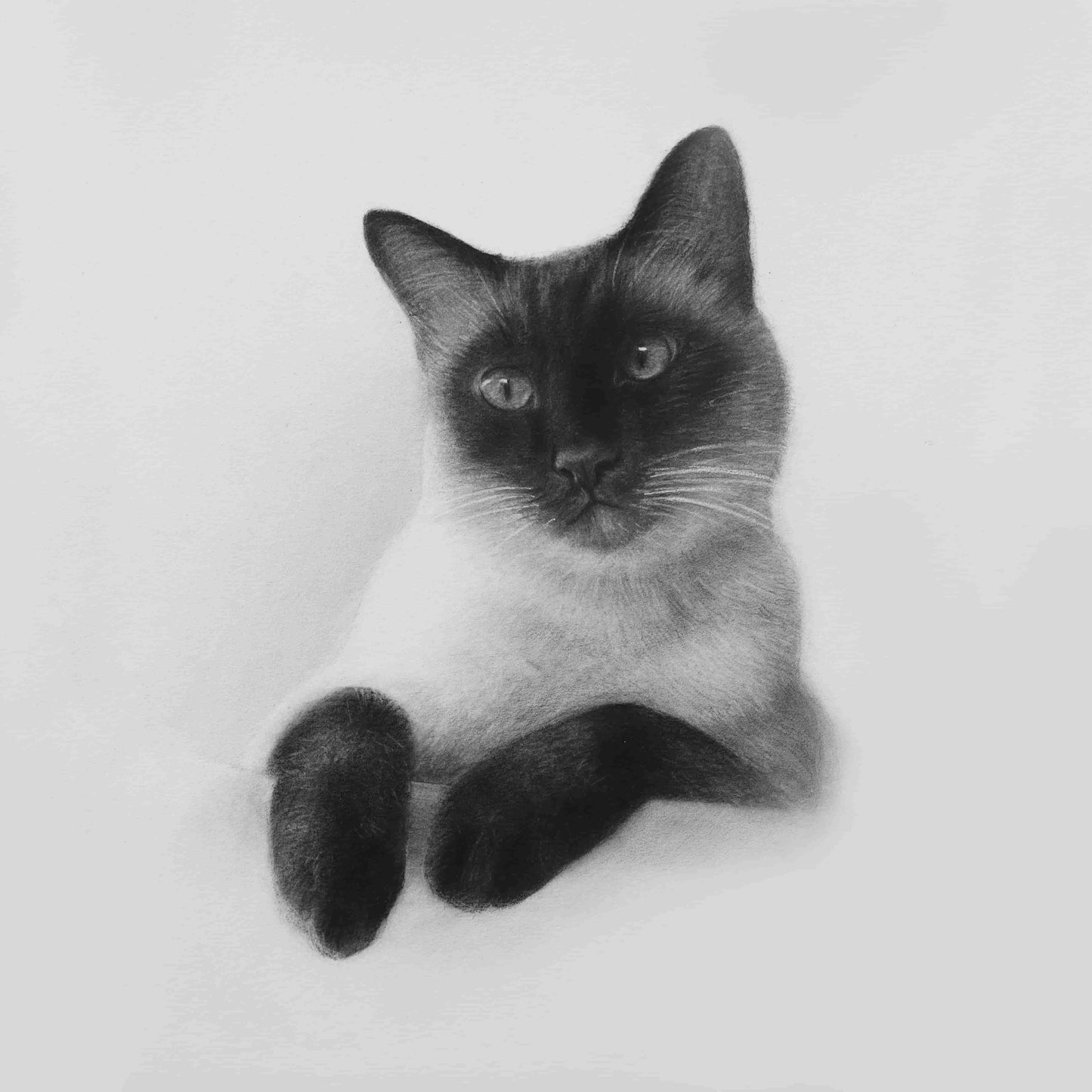 Custom Cat Drawing - Personalized Pet Art for Cat Lovers