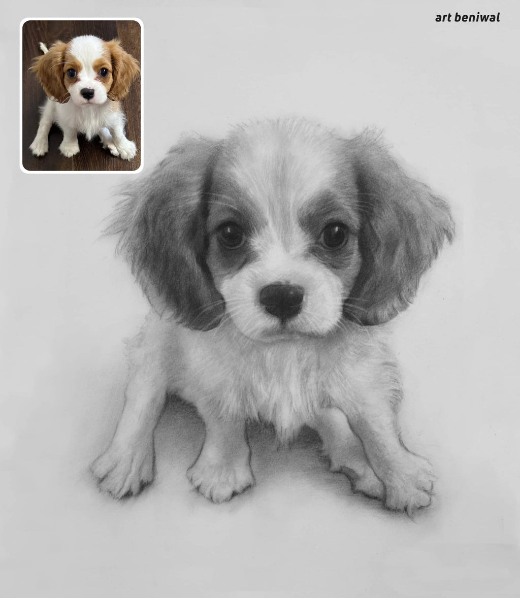 realistic pencil drawing of a white puppy have light brown ears and his looking straight also on top left side inset a small its coloured original photo and another side top have logo art beniwal