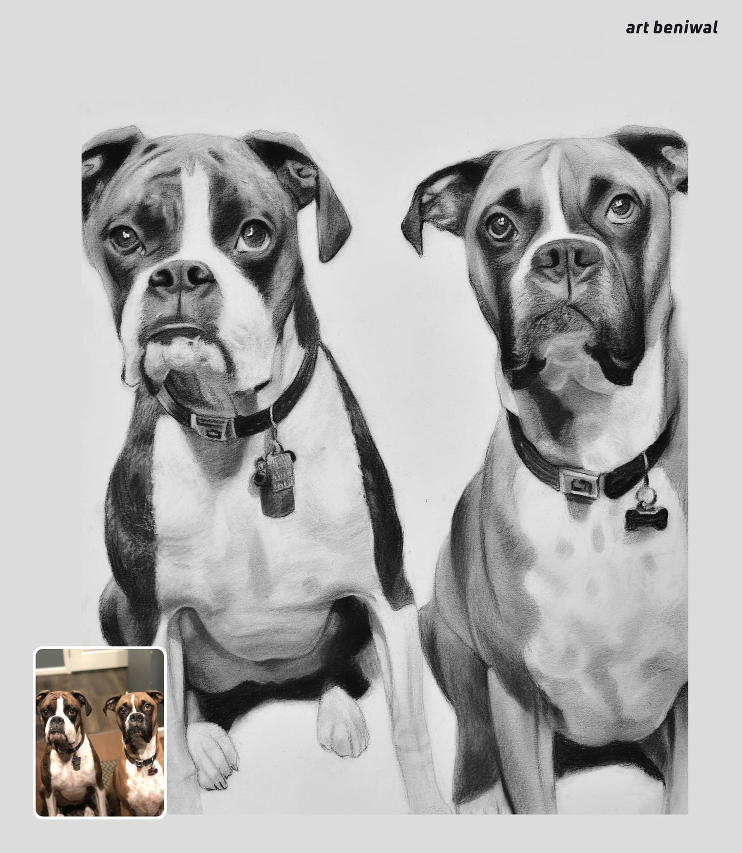 Pet Sketch Portrait from Photo - A Personalized Gift for Dog Owner